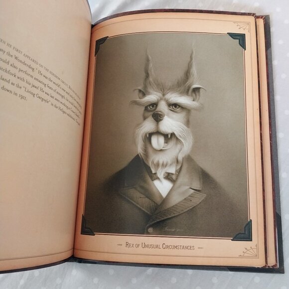 Travis Louie's Curiosities Collectible Hard Cover Book - Picture 4 of 6